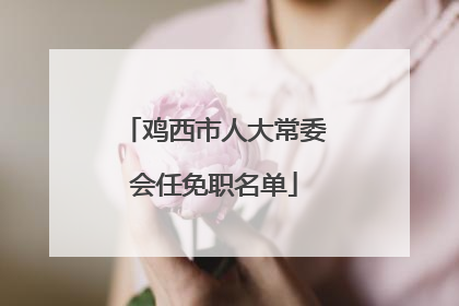 鸡西市人大常委会任免职名单